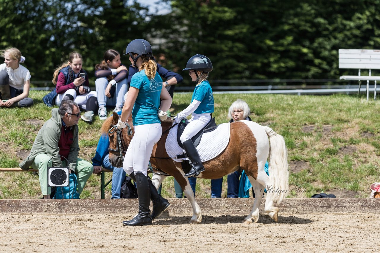 Bild 6 - Pony Akademie Turnier